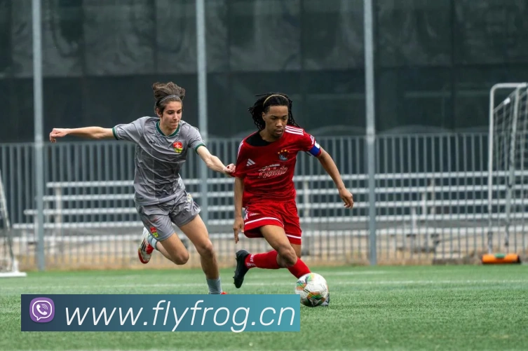 kaiyun云网页版入口APP 封面图